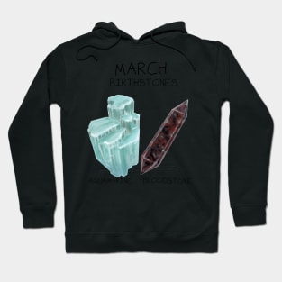 March Birthstones Pack - Aqaumarine and Bloodstone Hoodie